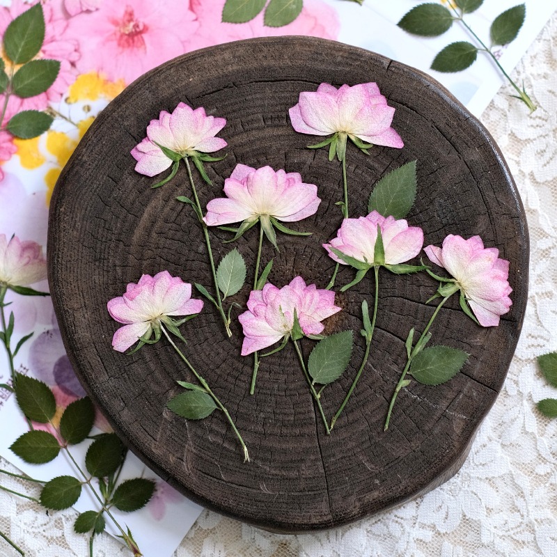 12 Piezas de Flores Secas Pren - Resin Craft Ideas reseña y precio